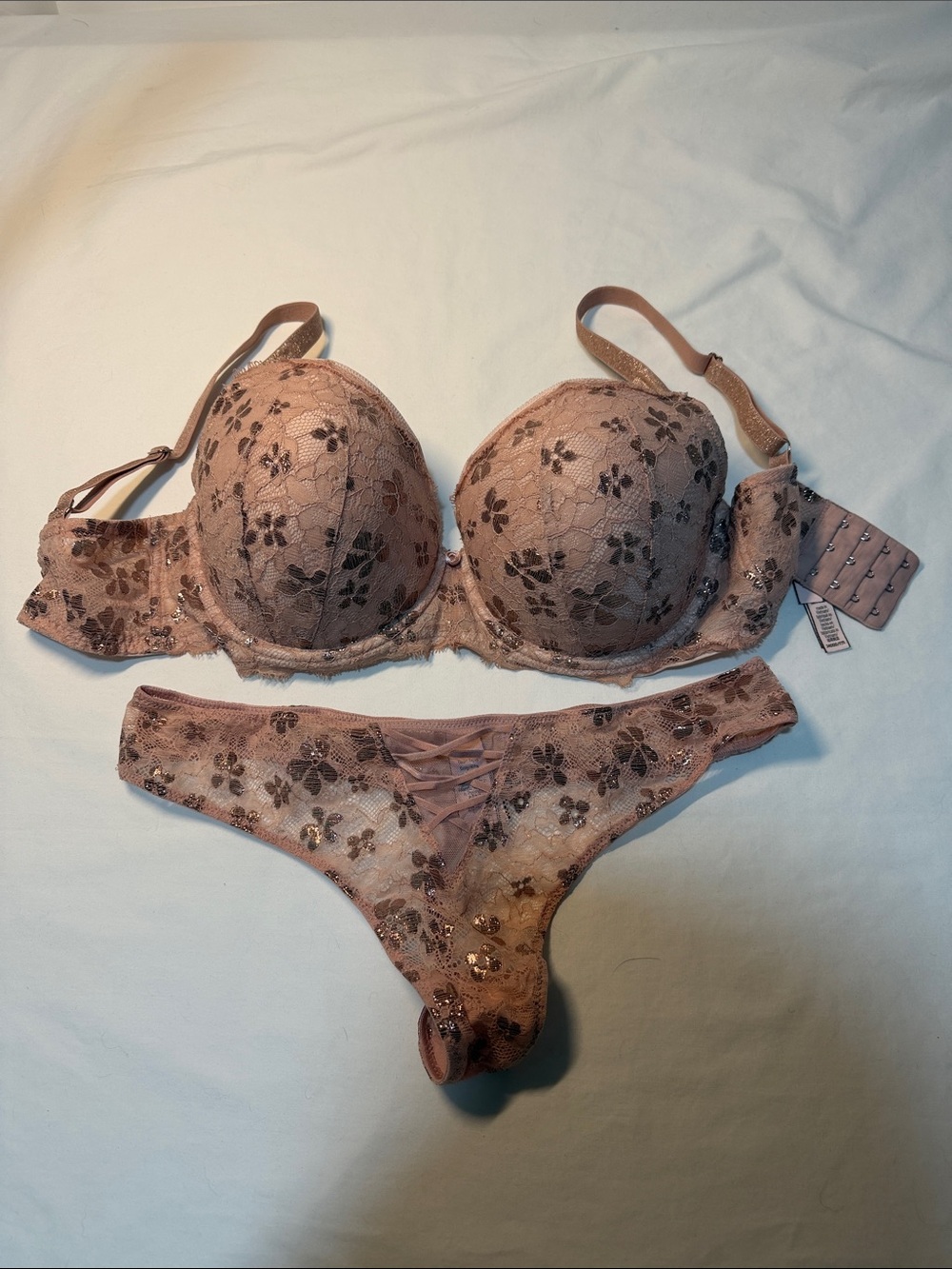 Victoria's Secret Dream Angel Lace Shimmer  34DDD Rose Floral Lace Bra Set
